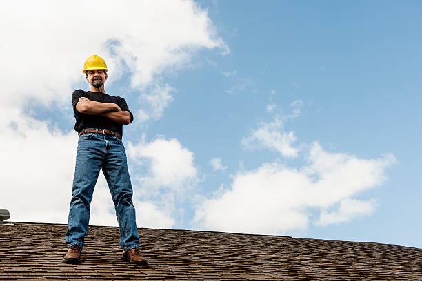 Best Flat Roof Repair Services  in Circle Pines, MN