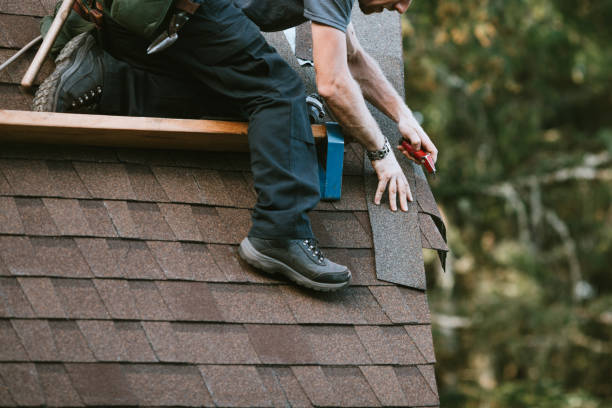 Best Roof Leak Repair  in Circle Pines, MN